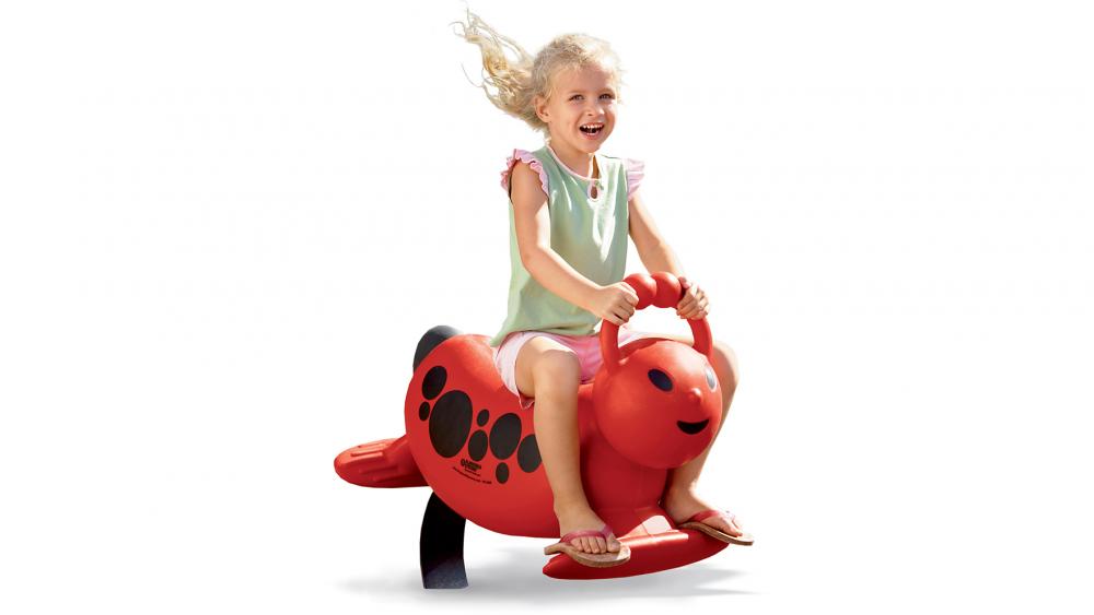 Ladybug